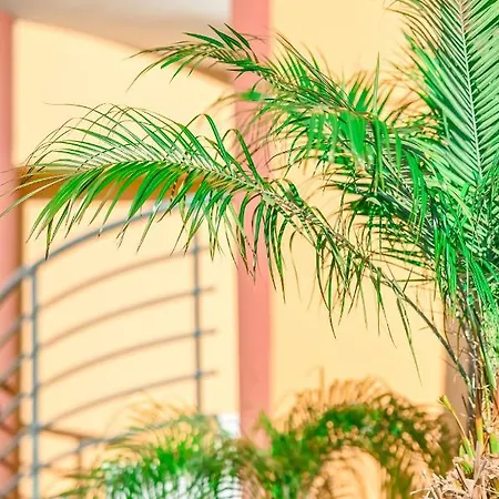 Kos City Apartments 4* Kos-stad