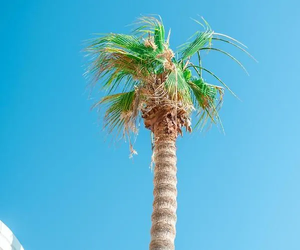 Villa Coo Boutique Hotel - Adults Only Hotel