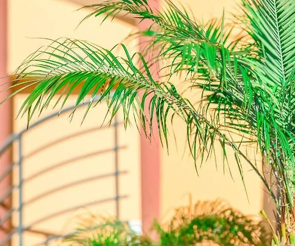 Coo Boutique - Adults Only 4* بلدة كوس